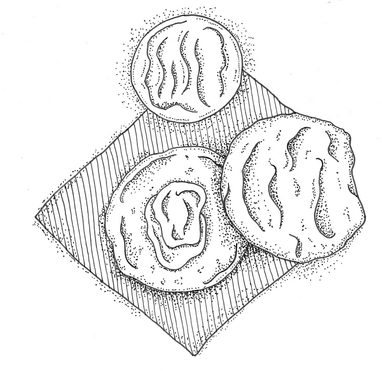 Drop biscuit illustration