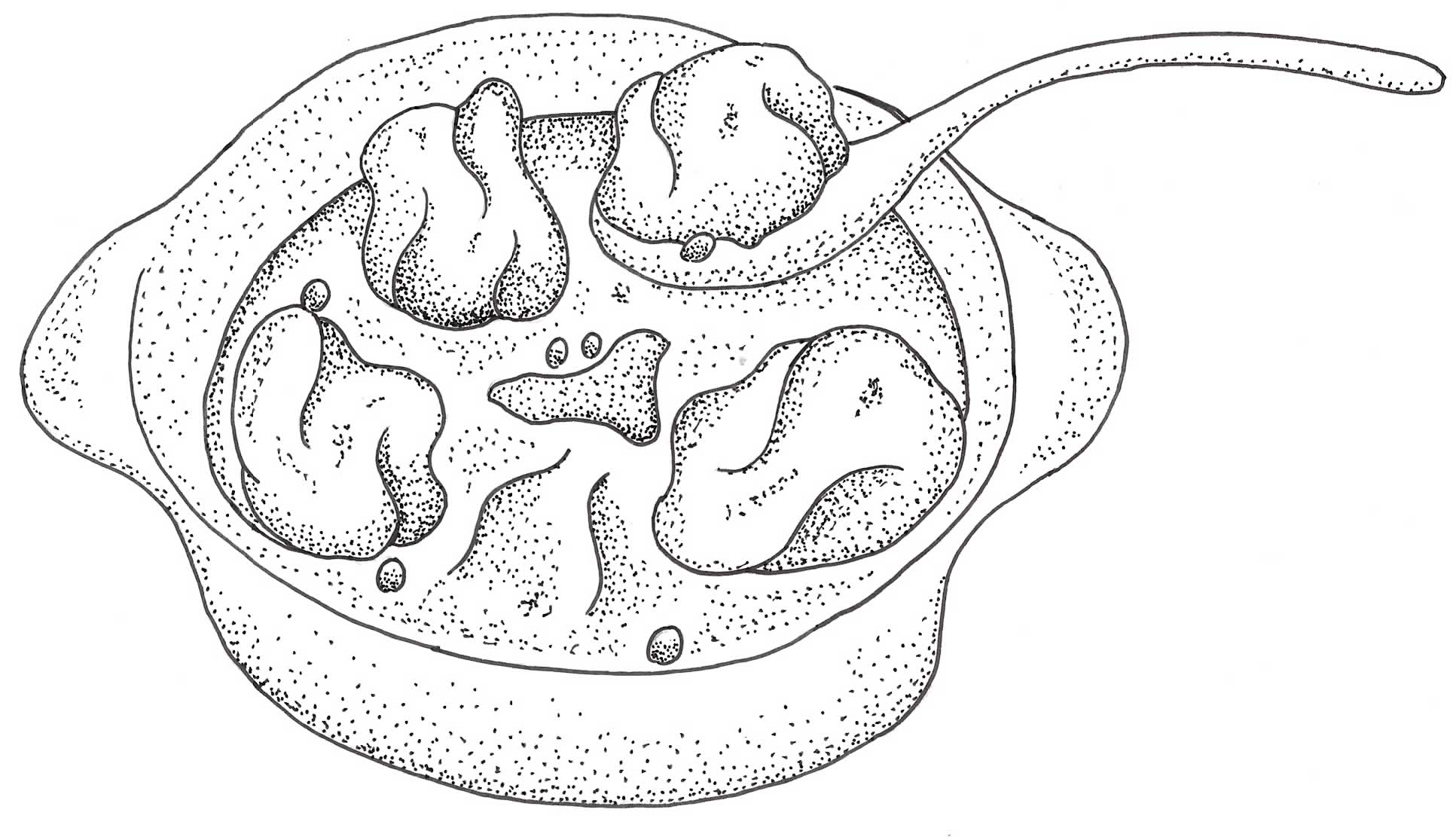 Dumplings Illustration