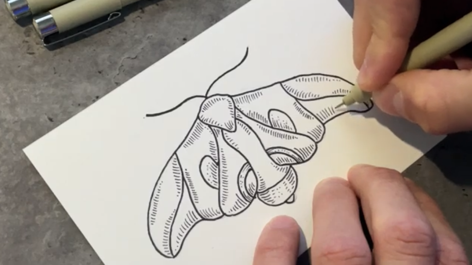 Drawing a Wasp Moth