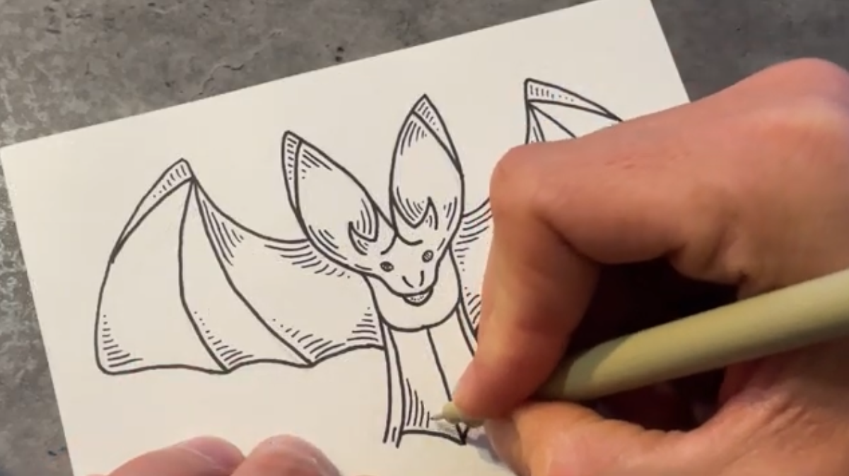 Drawing a Bat